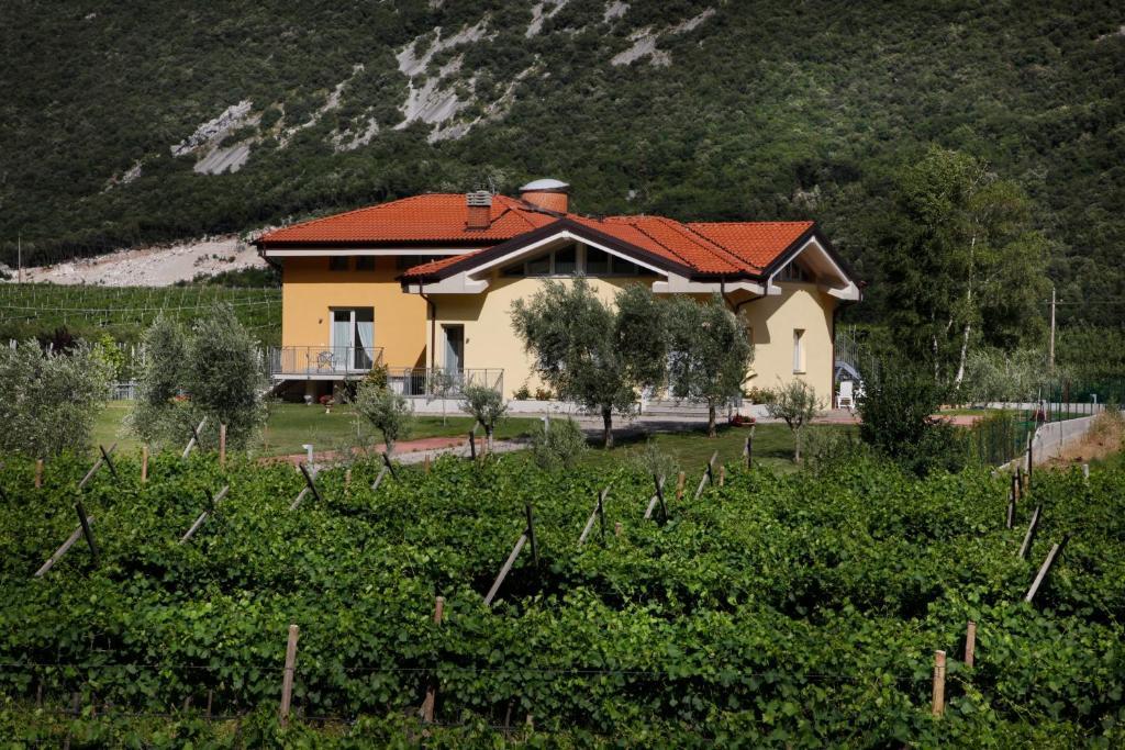 Appartamenti Al Vigneto Dro Kültér fotó