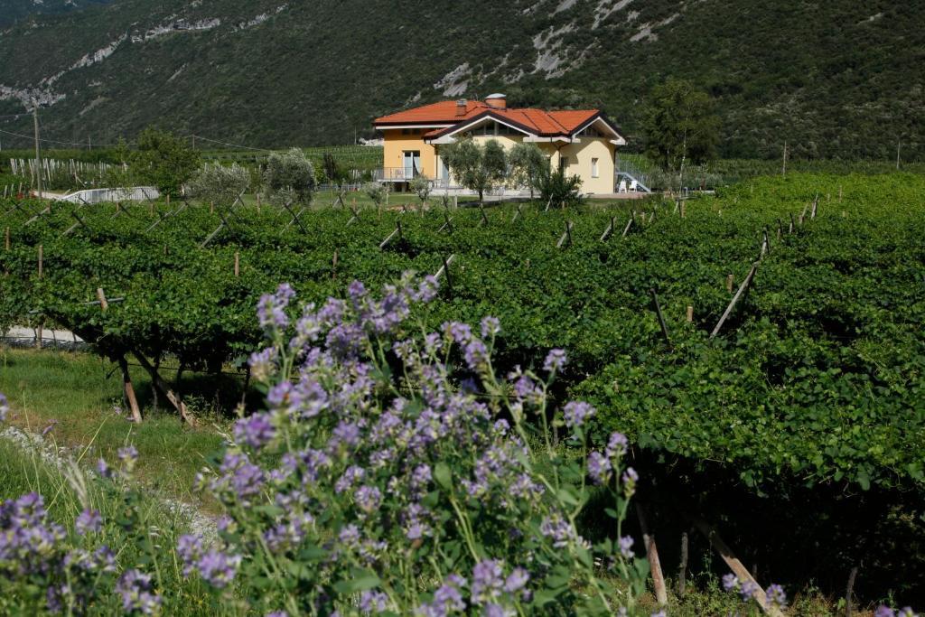 Appartamenti Al Vigneto Dro Kültér fotó